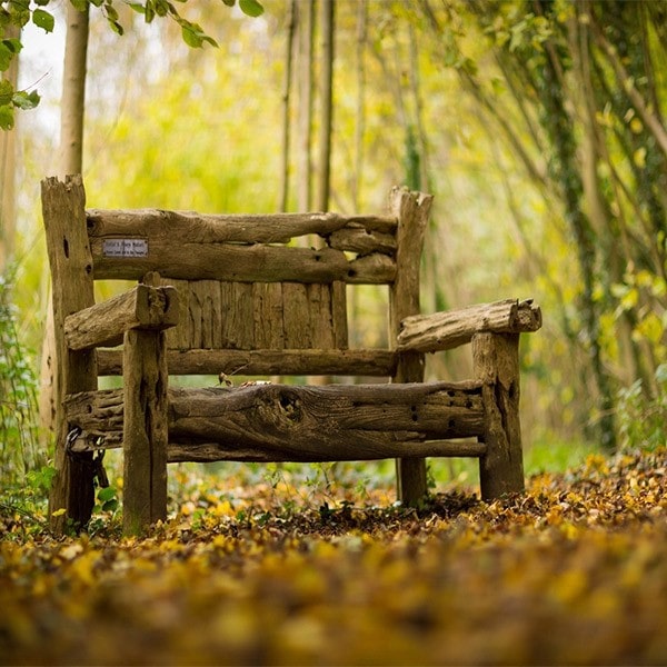 نیمکت باغی ساخته شده از چوب درختان