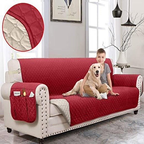 تصویر مبل راحتی 3 نفره که یک پسر بپه و یک سگ روی آن نشسته اند.