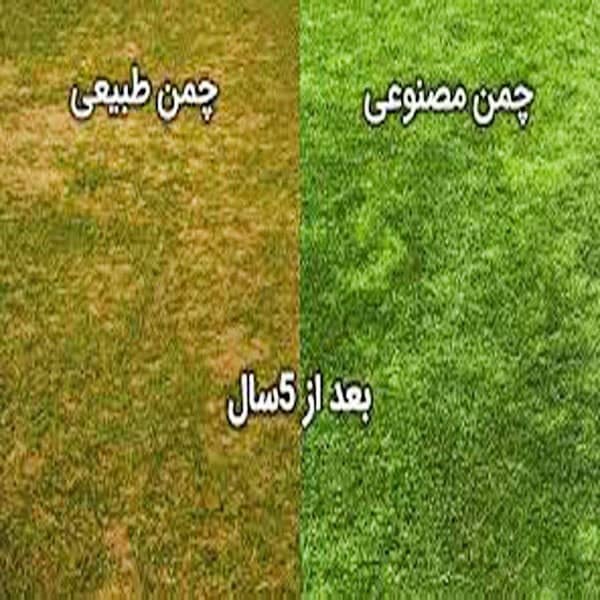تفاوت چمن مصنوعی و چمن طبیعی