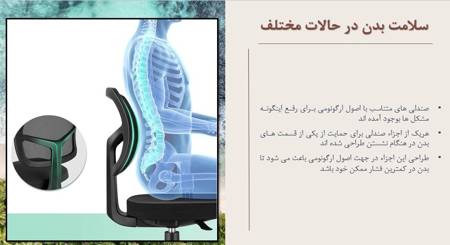 توضیحی در مورد سلامت بدن در حالات مختلف نشستن