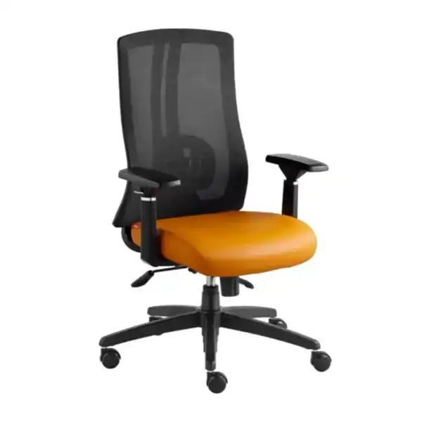 صندلی کارشناسی دارای قابلیت تنظیم ارتفاع و دسته